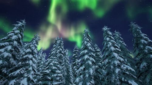 Aurora Borealis Over Trees