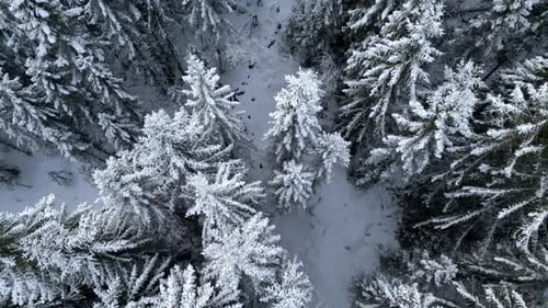 Winterland 10