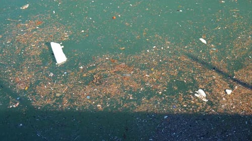 Déchets flottants et pollution à la surface de la mer