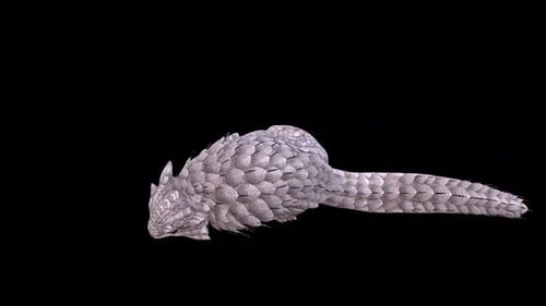 Spiny Lizard Idle 2