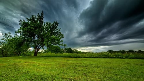 Blick auf eine unberührte grüne Wiese auf dem Land im Zeitraffer. Schwarze Wolken wehen über dem