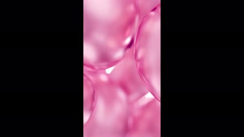 Pink Rose Cosmetic Beauty Care Essential Oil Bubbles Macro Close-Up