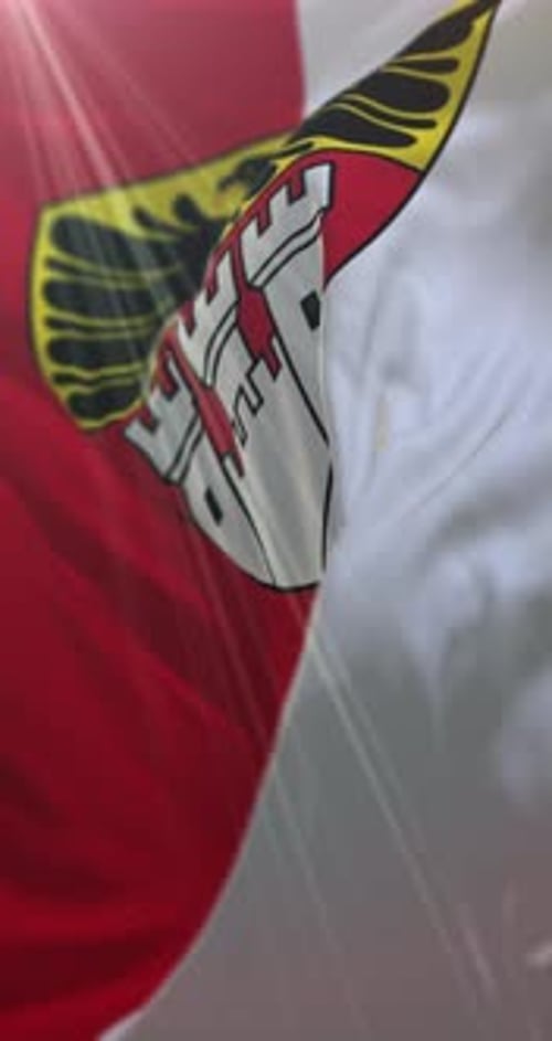 Vertical Waving Flag with Heraldic Eagle and Castle Emblems