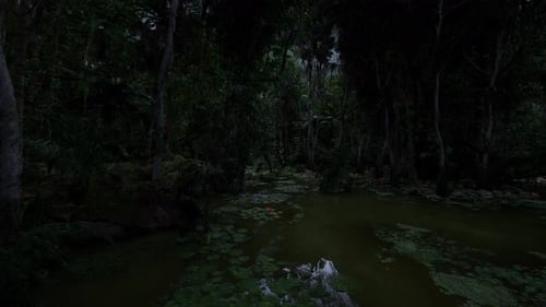 Deep Jungle Swamp Scene with Water Lilies
