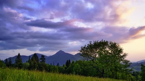 Mountain Meadow with Rich Green Grass Leafy Trees Silhouette of Mountain Landscape Pastel Clouds