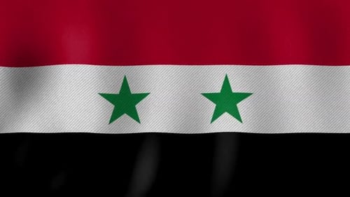 Syria National Flag Waving with Fabric Texture Loop