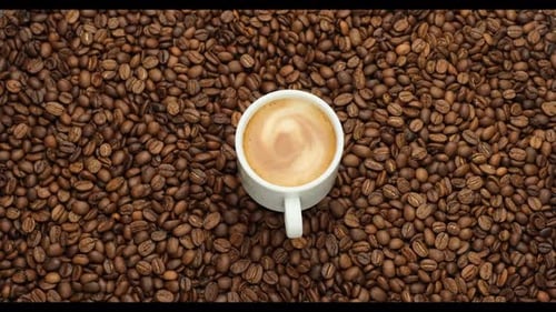 Coffee Cup on Fresh Roasted Coffee Bean Background