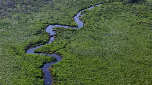 Aerial drone footage of a winding river cutting through lush green wetlands in Michigan’s Upper
