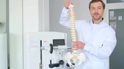 Un vertébrologue professionnel attrayant en uniforme parle de problèmes de colonne vertébrale liés au squelette de la colonne vertébrale