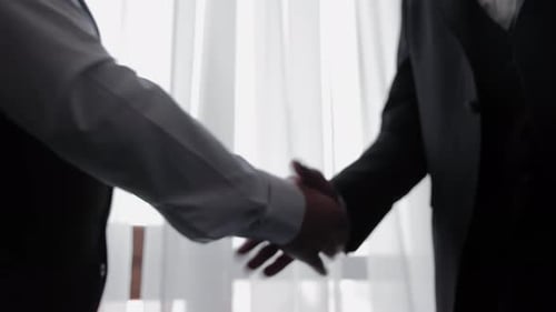 Business Handshake in an Office Symbolizing Partnership and Trust Between Business Partners