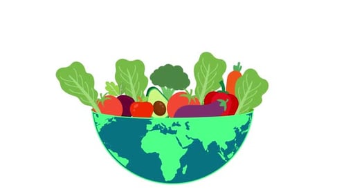 Healthy Food in Earth Bowl Flat Design Animation