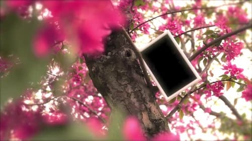 Árbol en primavera