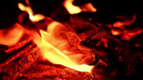Little flames still burning on the embers of wood. Burnt out campfire close up. Black backdrop.