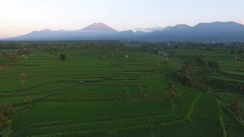 Rizière et mont Rinjani