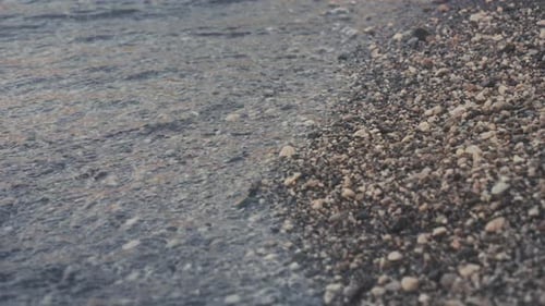Beach in Summer