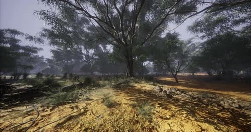 Lush Forest Landscape Showcasing Vibrant Greenery and Rich Textures