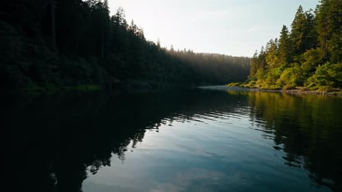Peaceful River Water Flowing Through Forest In Morning Light