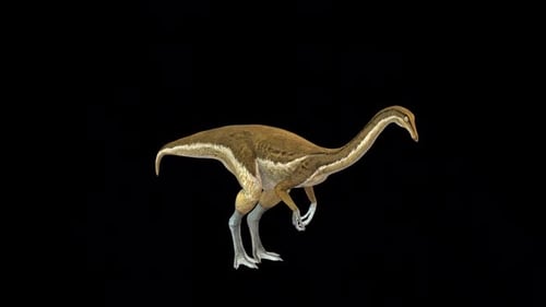 Dinosaure Gallimimus Eat Idle