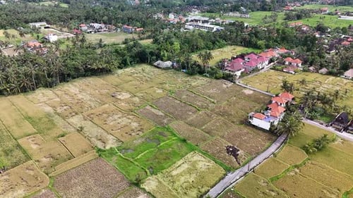 Aerial View of Rice Fields in Bali