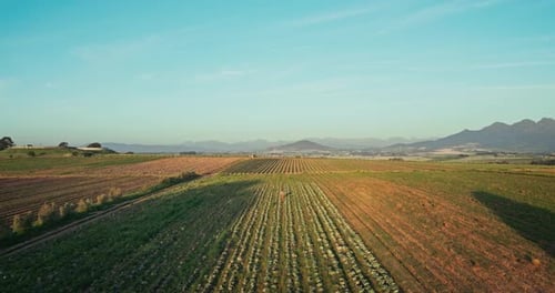 Farm, agriculture and drone of landscape in field for nature growth development with grass