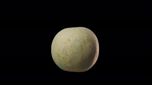 Schwimmende Melonenfrucht isoliert in der Luft
