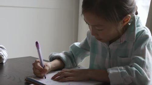 Focused Boy Writing in Notebook Doing Homework at Dining Table 67 Years