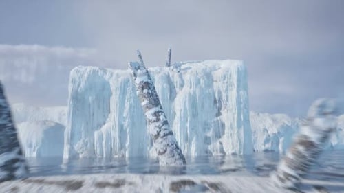 North pole gletschers