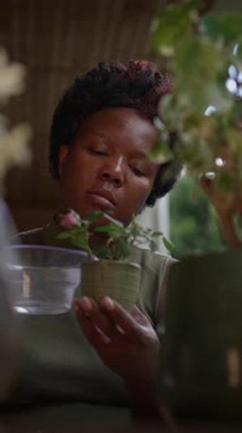 Nurturing Plants Embracing a Serene and Peaceful Moment of Gardening and Growth