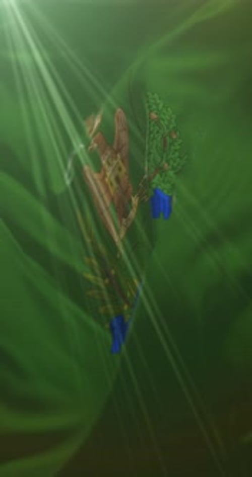 Decorative Waving Flag Emblem with Sunlight Animation