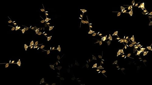 Golden Roses