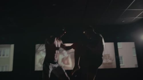Mixed Martial Arts Fight