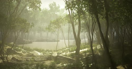 Serene Forest Landscape with Mist and Calm Water Reflections in Morning Light