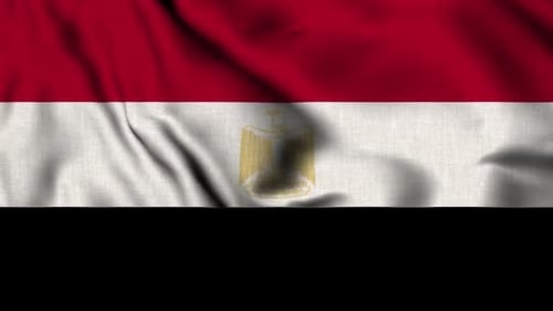 Realistic Waving Egypt Flag in a Seamless Loop
