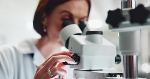 Woman Looks into Microscope and Adjusts the Focus