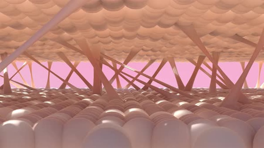 3D Animation of Collagen and Skin Cells Microscopic View, Backgrounds ...