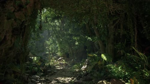 A Tranquil Forest Path in the Breathtaking Landscapes Mountain Path