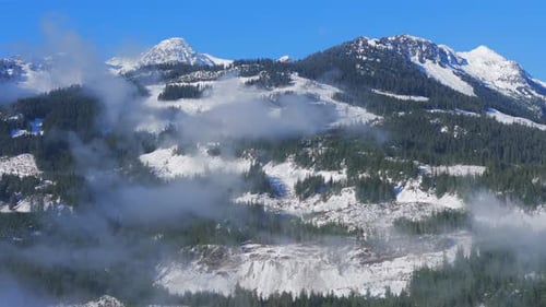 Aerial View of Green Trees with Fog on the Mountain Slopes