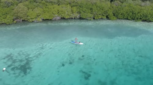 Aerial view of young couple stand up paddling on vacation of carenero island near mangroves Los Roqu