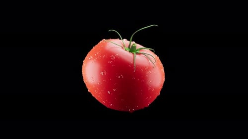 Animation 3D d'une tomate rouge tournant autour de son axe. Canal Alpha.