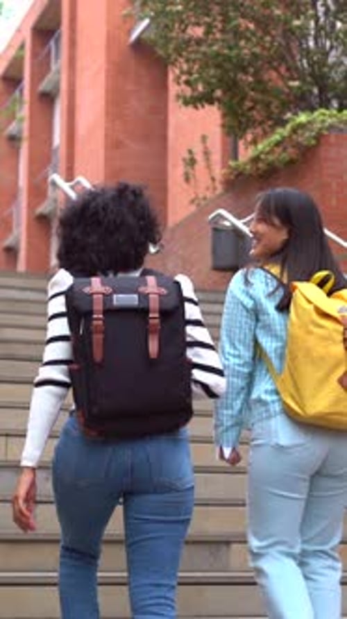 Multiracial Students Walking Along the Campus of the University