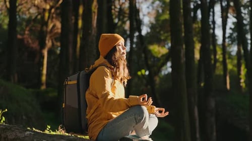 Peaceful Meditation in a Serene Forest Environment