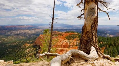 The Incredible Rock Formations At Bryce Canyon