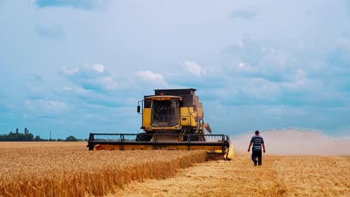Modern combine harvester working in the field. Farmer gets on a combine.