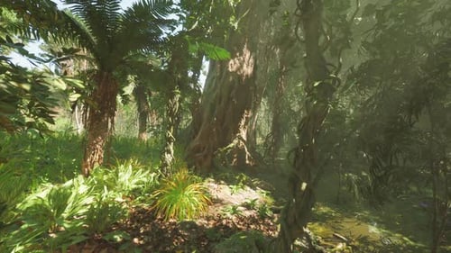 Lush Jungle Landscape in China Showcasing Diverse Flora and Dense Foliage