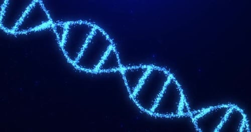 Molécule d'ADN animée abstraite à partir de particules. Animation conceptuelle de l'ADN numérique, du génome humain