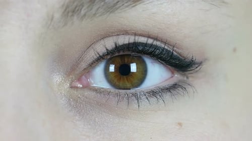 Blinking Eye of Young Girl Close Up
