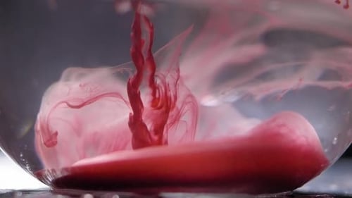 Red Ink Slowly Spreads in a Glass Vase on a Grey Background