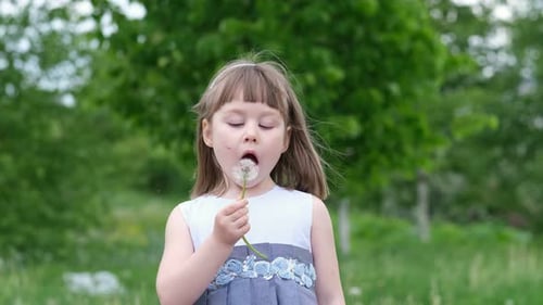 A Cute Little Girl Blowing on a Dandelion in a Spring Park