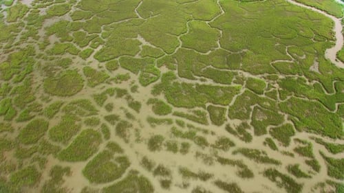 Georgia Circa-2019. Aerial View of Abstract Patterns of Wetlands in Georgia