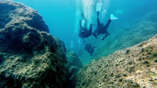 Scuba Divers with dive gear underwater swimming, aquatic exploring sea floor